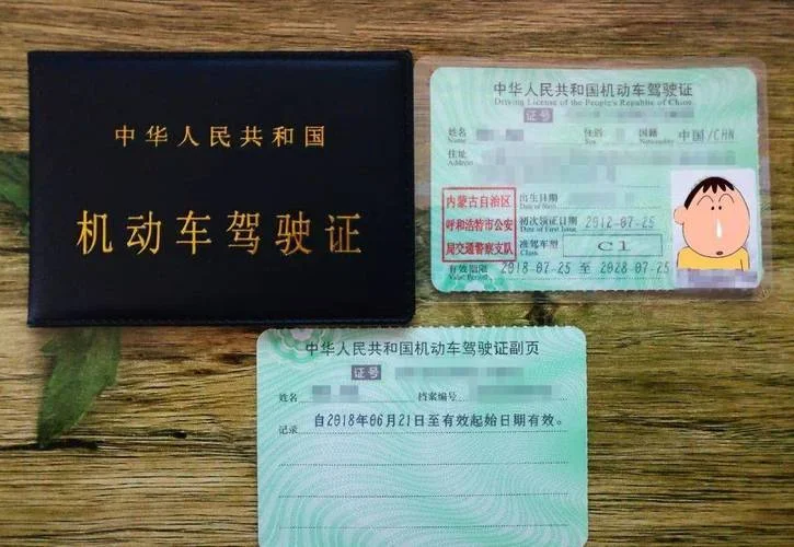 b牌驾驶证报考条件_2