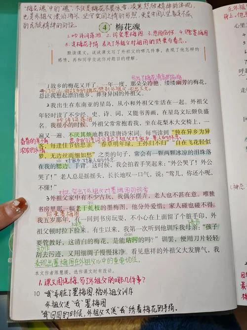 梅花魂读后感-梅花魂读后感心解