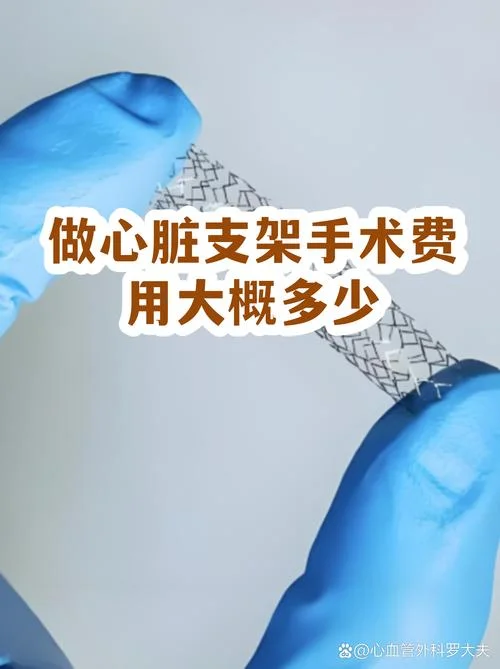 心脏多少钱一个_2