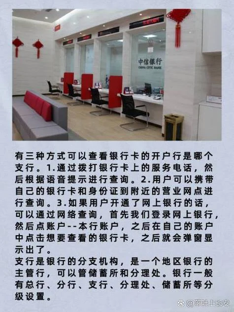 银行行口是指什么地方-银行网点指何处