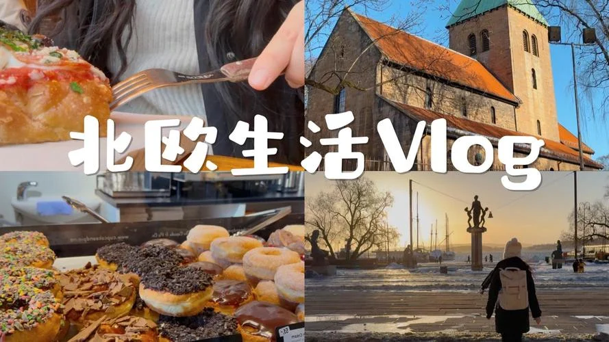 北欧留学vlog-北欧留学 Vlog