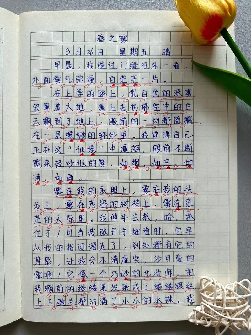 作文三年级上册怎么写-三年级上册作文怎么写