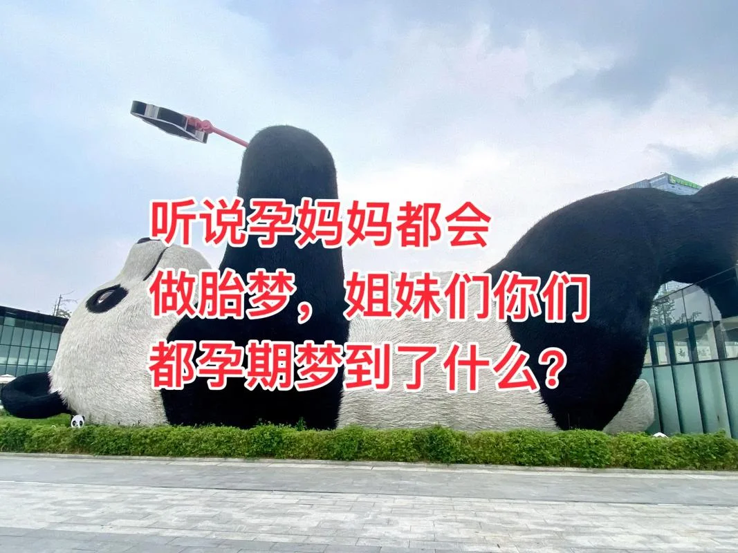 梦见3个小孩是胎梦_2