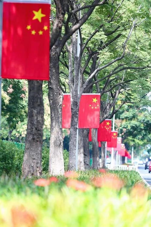 红旗彩旗飘飘下一句_2