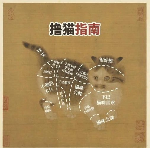 黄油猫定理_1