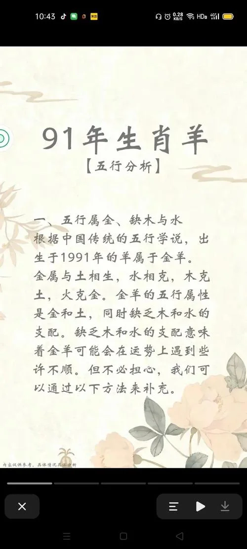 91年的羊是什么命_2