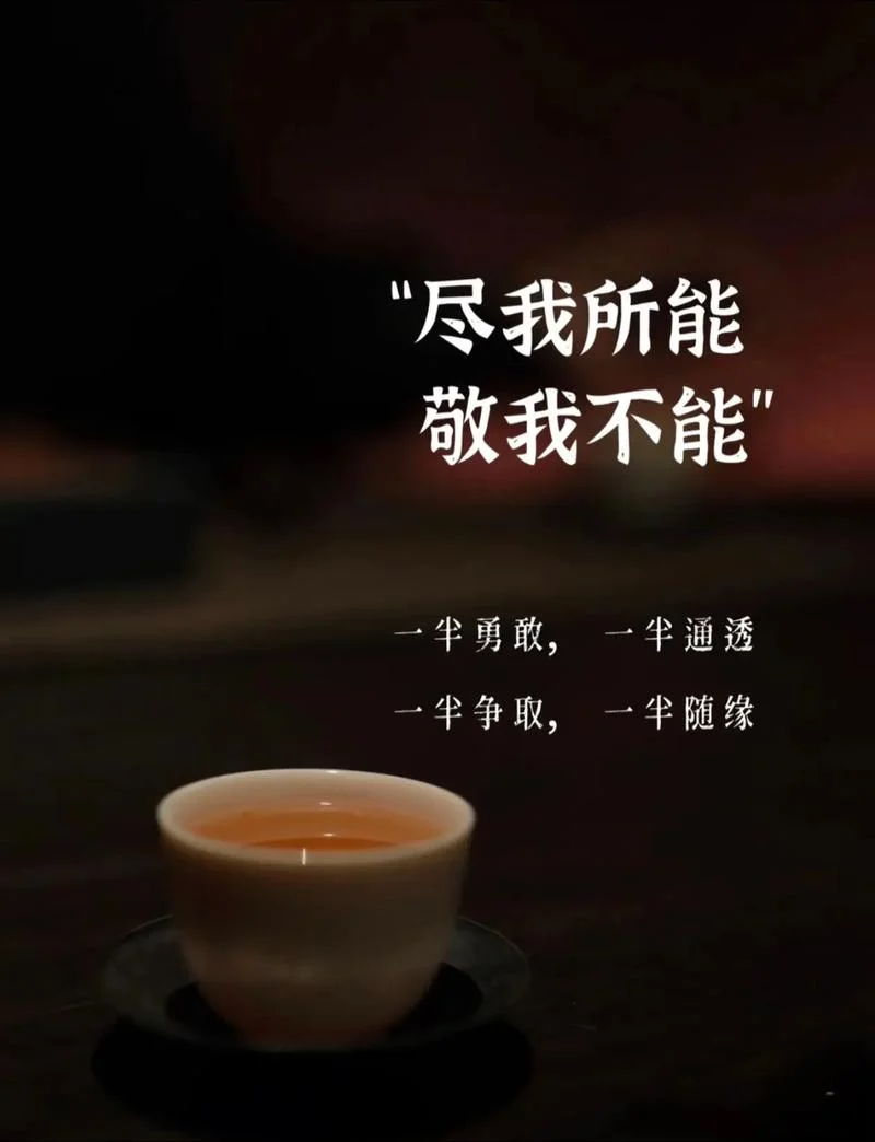 无所求则无所获下一句_2