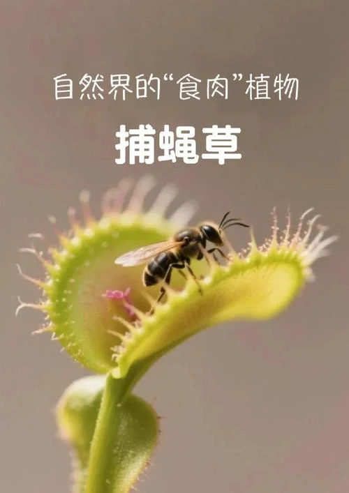 食人草是什么原理_1