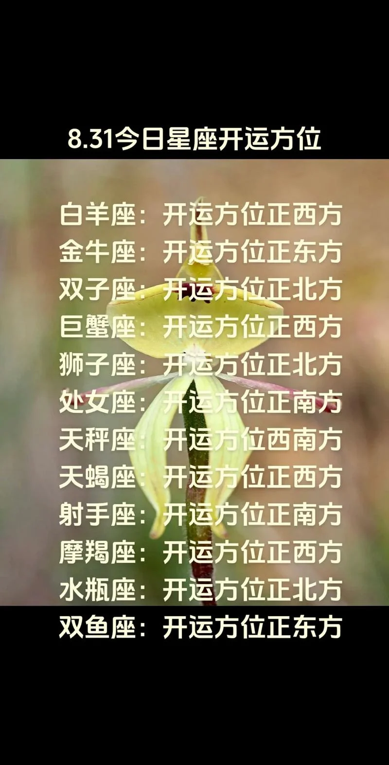 星座运势哪里可以学-星座运势在线查询