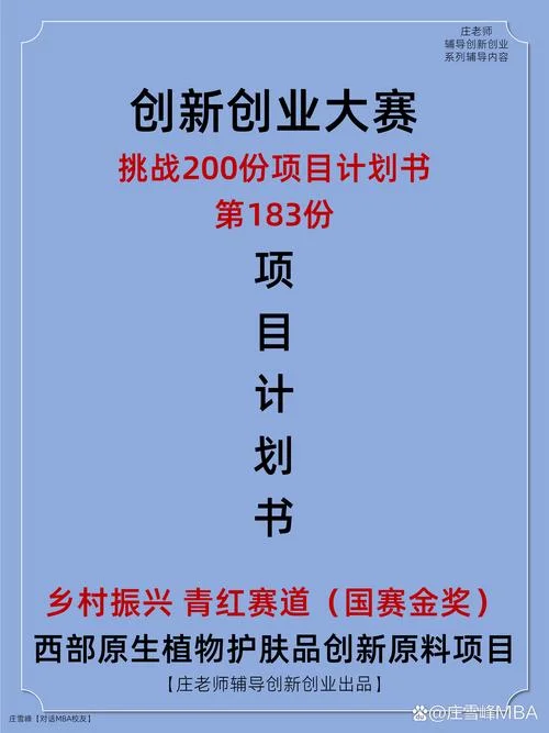 新项目计划书怎么写_1