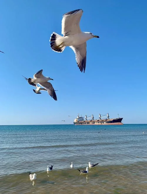 威海主要景点_1