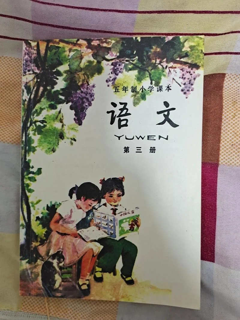 1988年几岁上小学-1988 入小学
