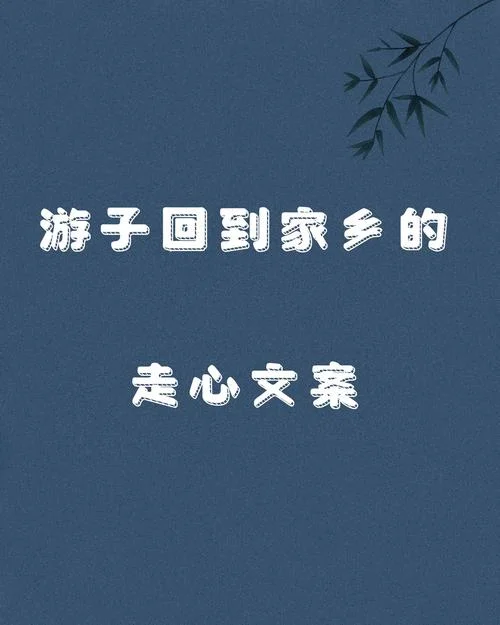 回家一趟不容易的说说-一趟不易回家