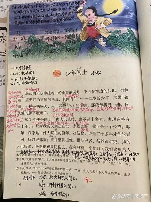 少年闰土读后感悟50字-少年闰土感悟:50 字