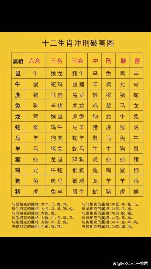 今晚买码买什么生肖码-今晚生肖码推荐