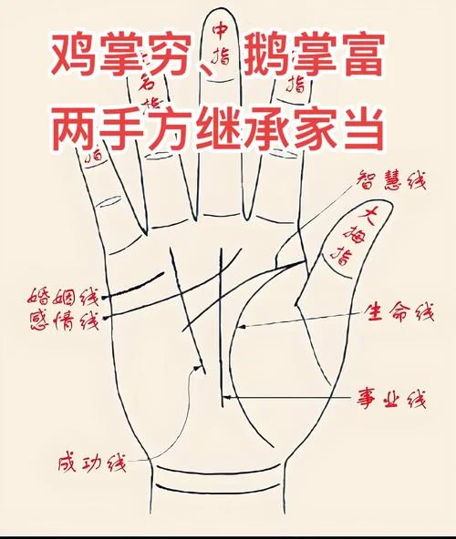 看手相怎么回答_2