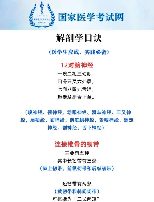 苏婷一建口诀_1