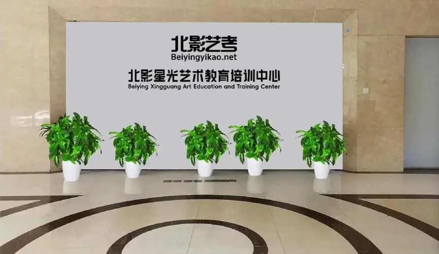 艺考培训班排名-艺考班排名前十