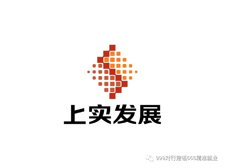 上海什么实业有限公司_2