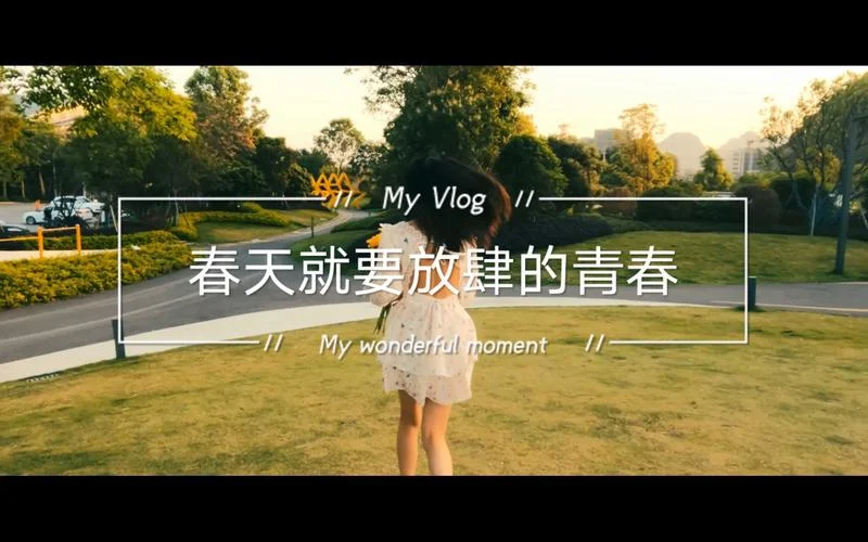 放肆的青春下一句_2