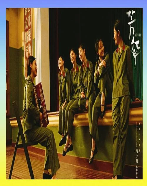 电影芳华简介-电影芳华剧情简介