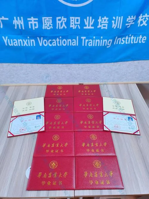 怎么上网查毕业证_1