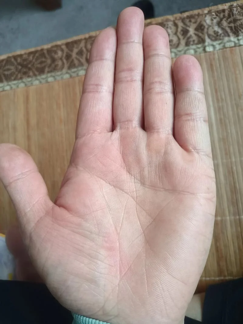 成功线手相视频-成功线手相视频