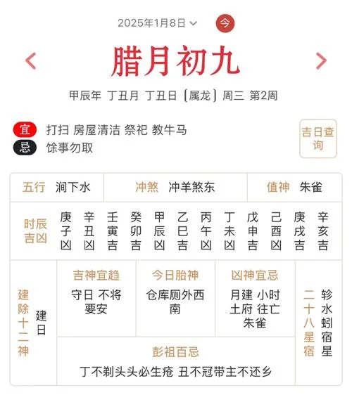 1999年的本命年是哪年_2