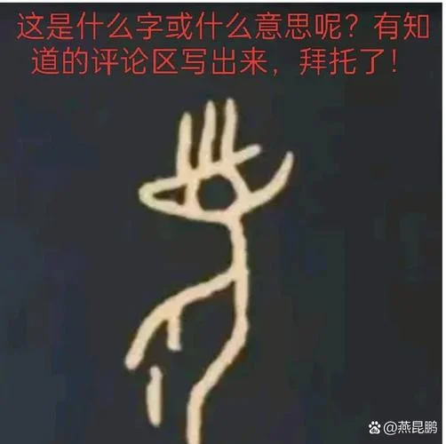 子怎么写-子怎么写