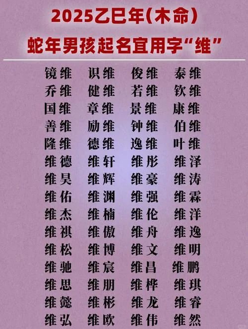 男孩泊字起名-男孩泊字起名推荐