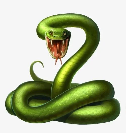 做梦梦到绿色的蛇是什么意思_1