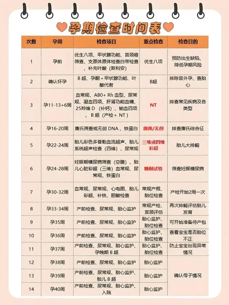 如何查怀孕多少周-查怀孕孕周