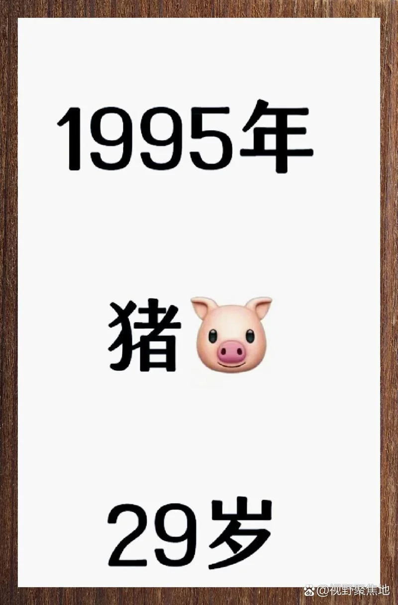 95年的多大了今年_2