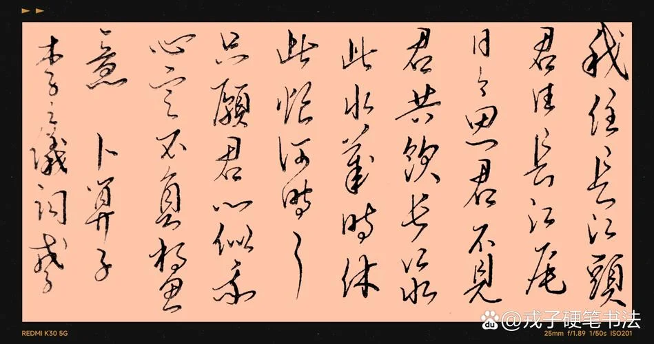 君住长江尾的上一句-君住长江尾上一句