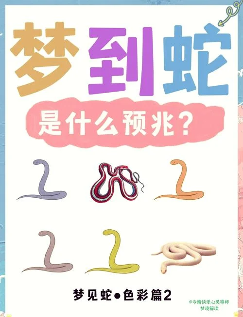女人梦见蛇跟一窝蛇蛋_2
