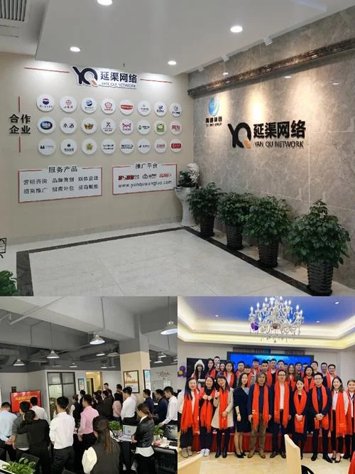 网络公司是做什么项目_1