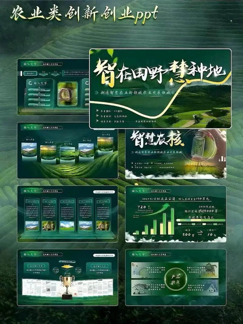 大学生创业项目ppt模板参考-大学生创业 PPT 模板