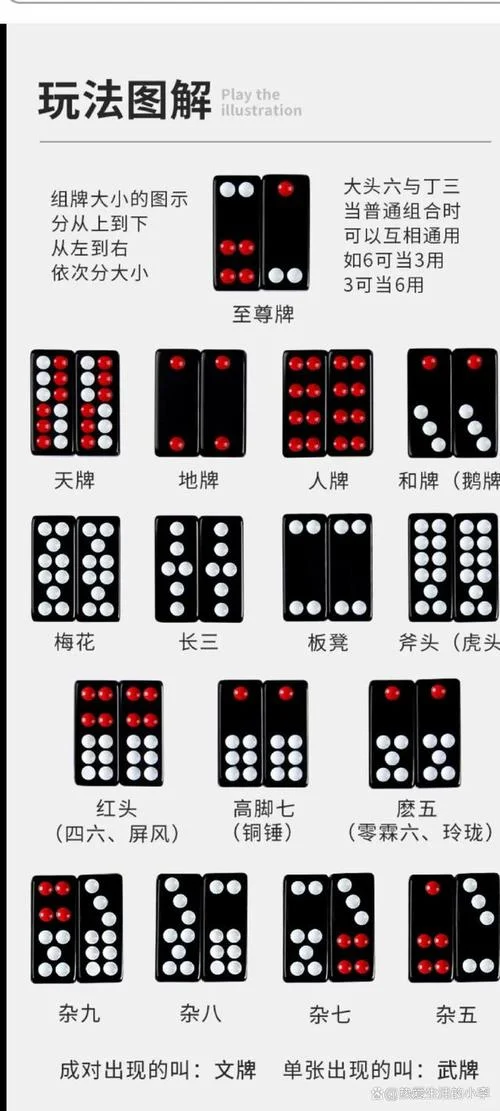 五张牌型套牌公式_2