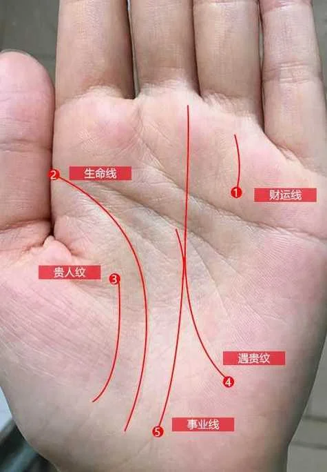 手相事业线看哪个手-看哪只手看事业线
