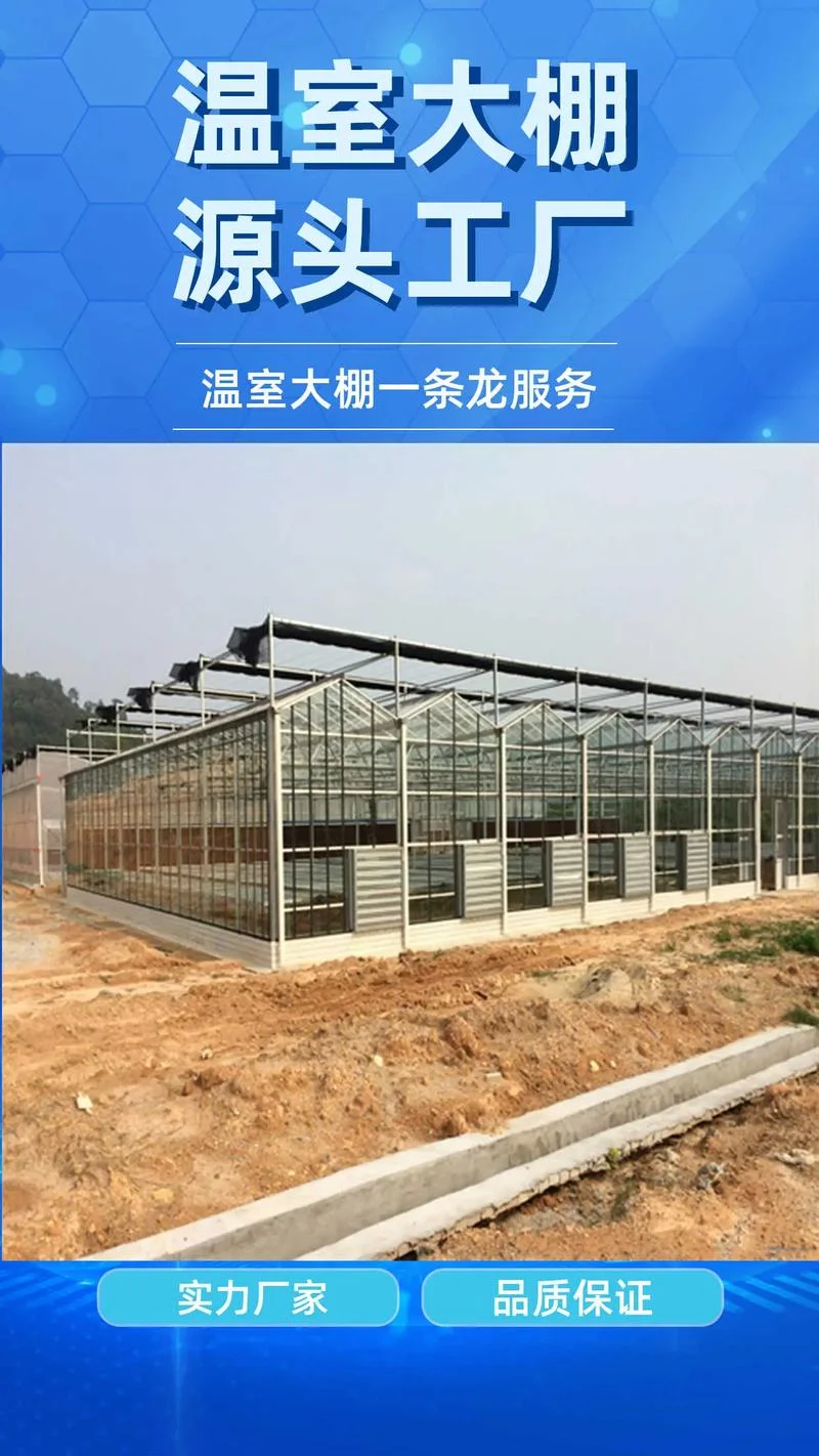 农业大棚建一个多少钱_1