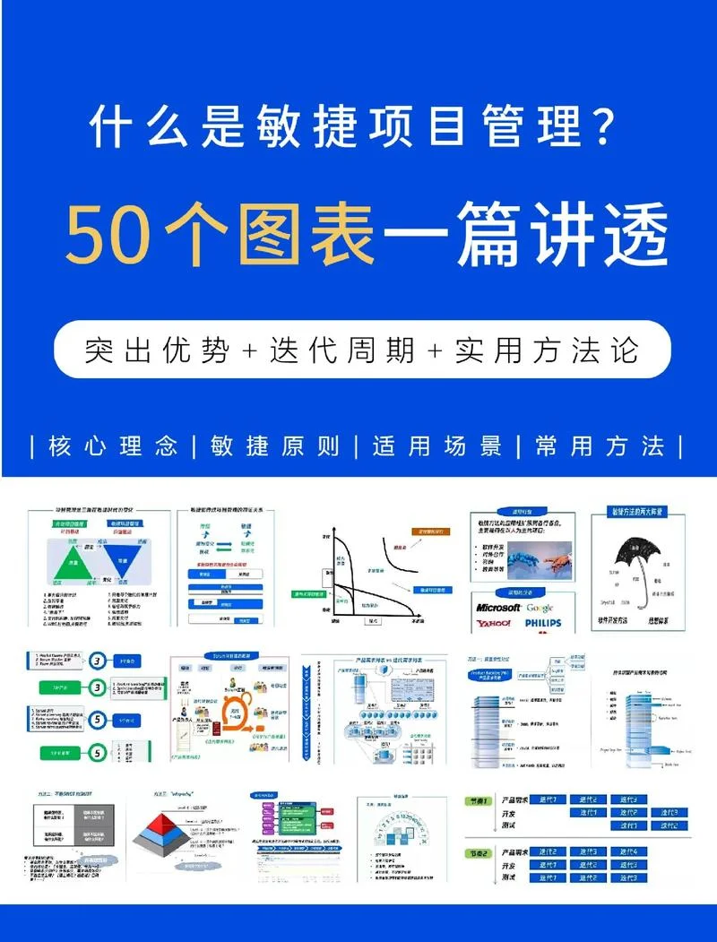 项目管理重要性-项目管理重要性