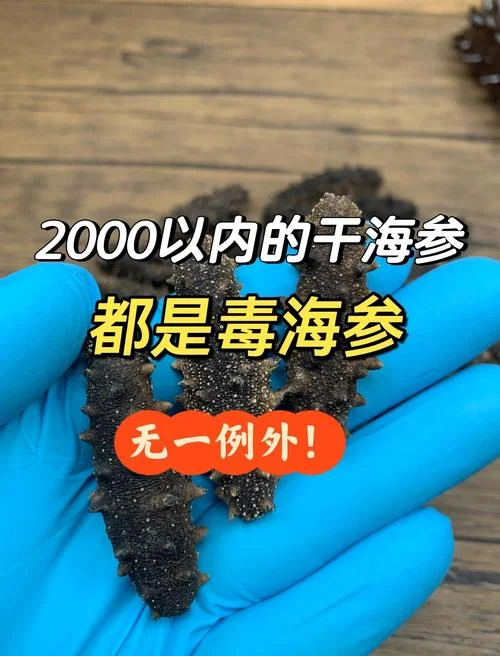 干海参价格多少钱_1