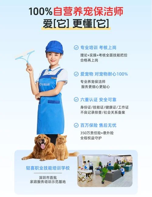 家政保洁简介怎么写-家政保洁简介写作指南