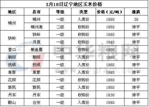 玉米今天价格是多少钱一斤_1