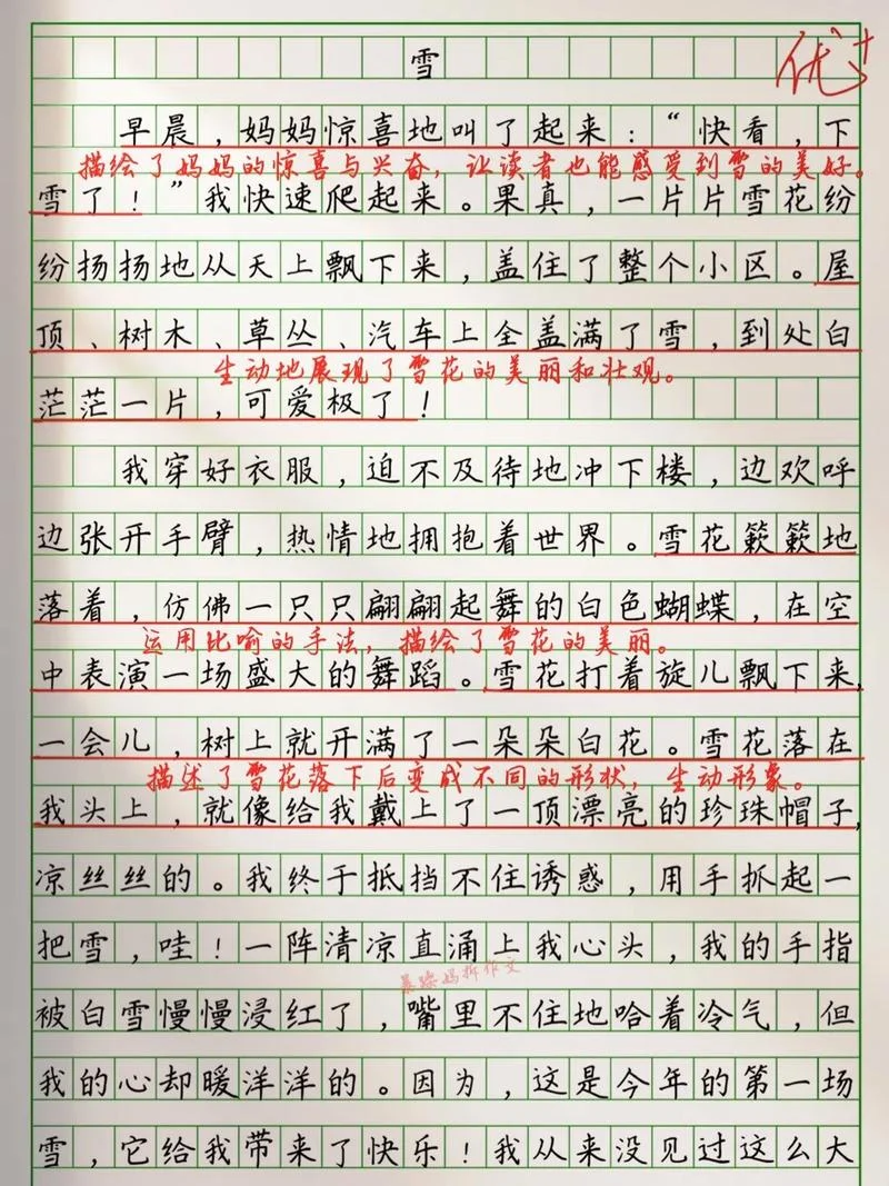 写雪景的作文600字-雪景作文六十字