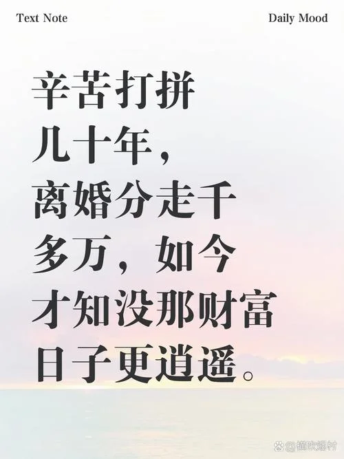 糟糠之妻不可弃文案_2
