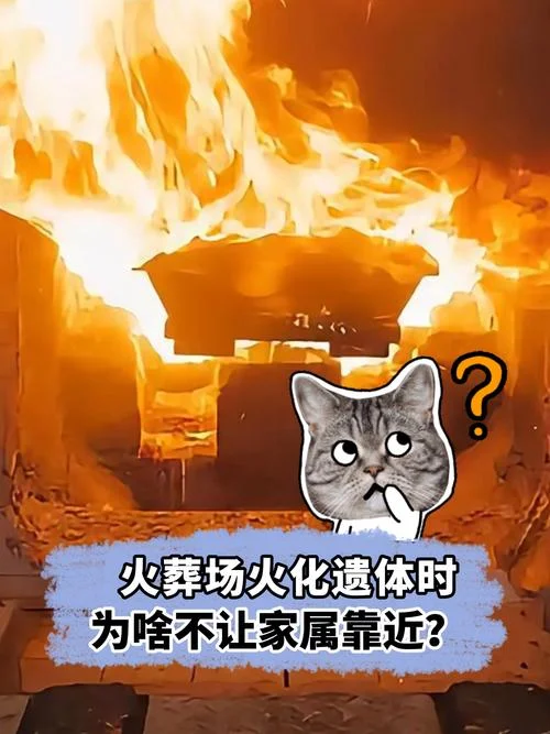梦见去火葬场_1