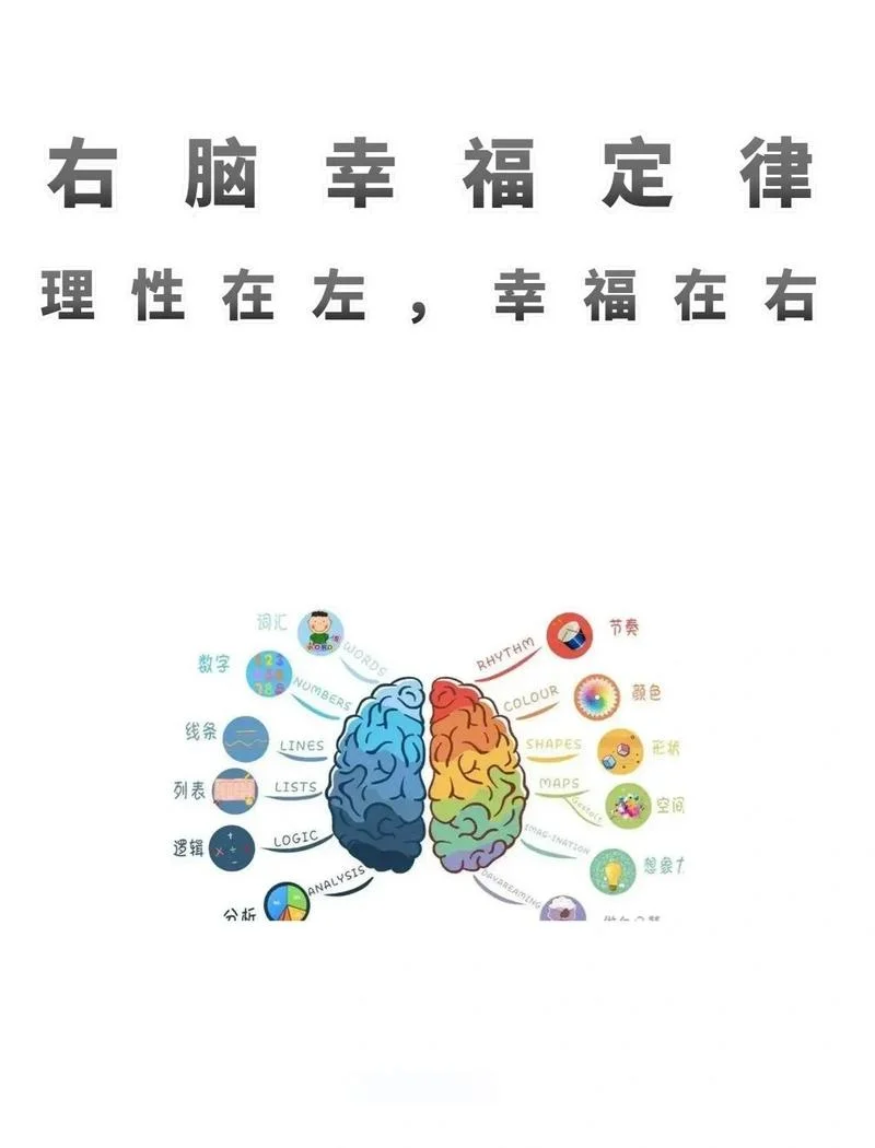 左脑是控制什么的-左脑掌管控制
