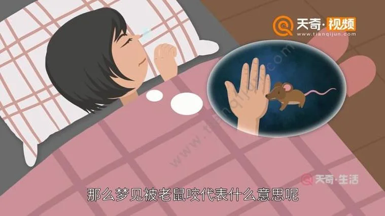 梦见被老鼠咬手不放_2
