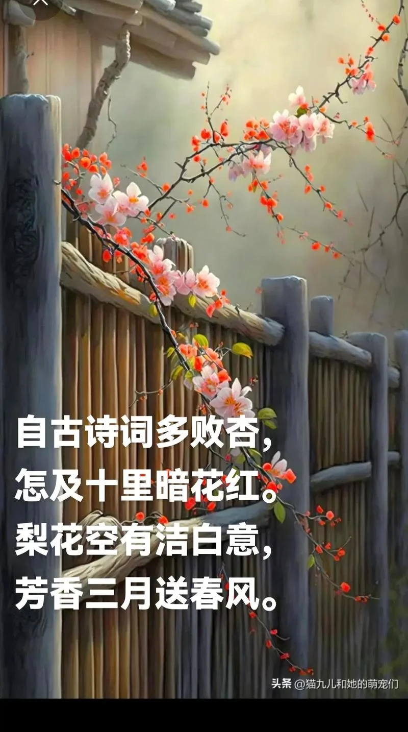 墙里佳人笑的上一句_2
